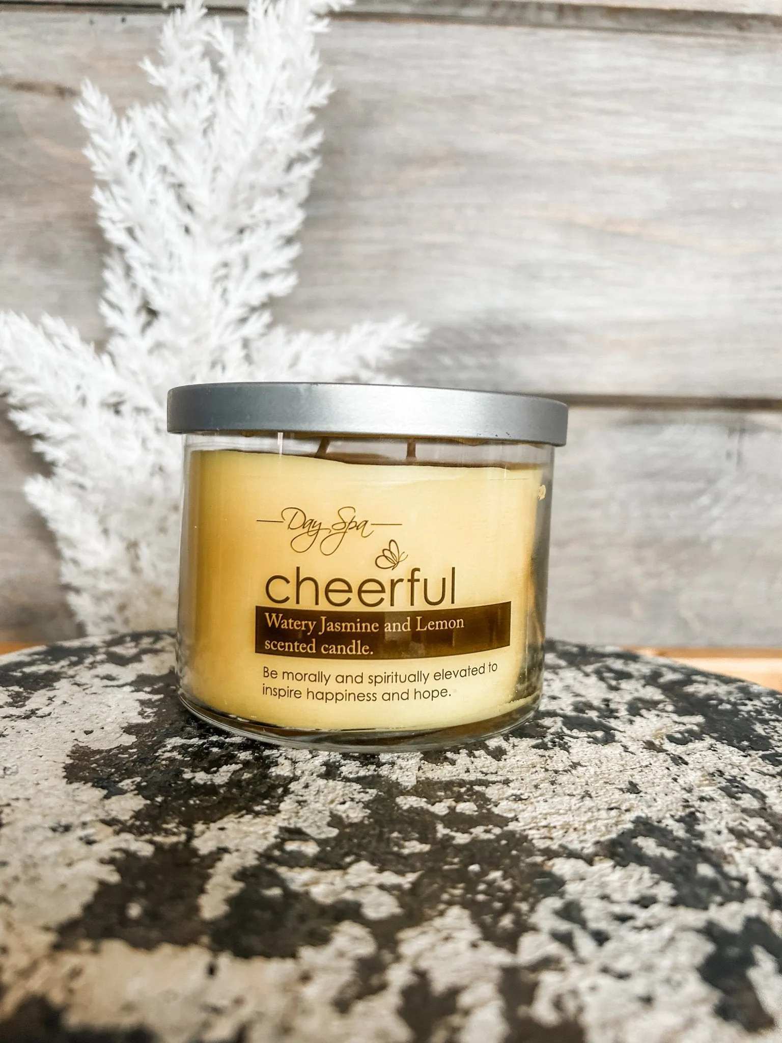 11 Oz. Aromatherapy Day Spa Candle