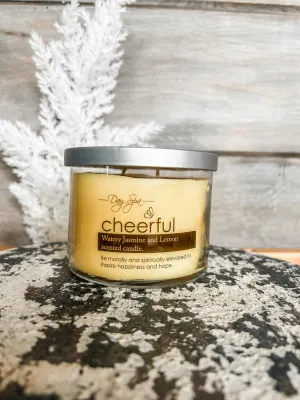 11 Oz. Aromatherapy Day Spa Candle