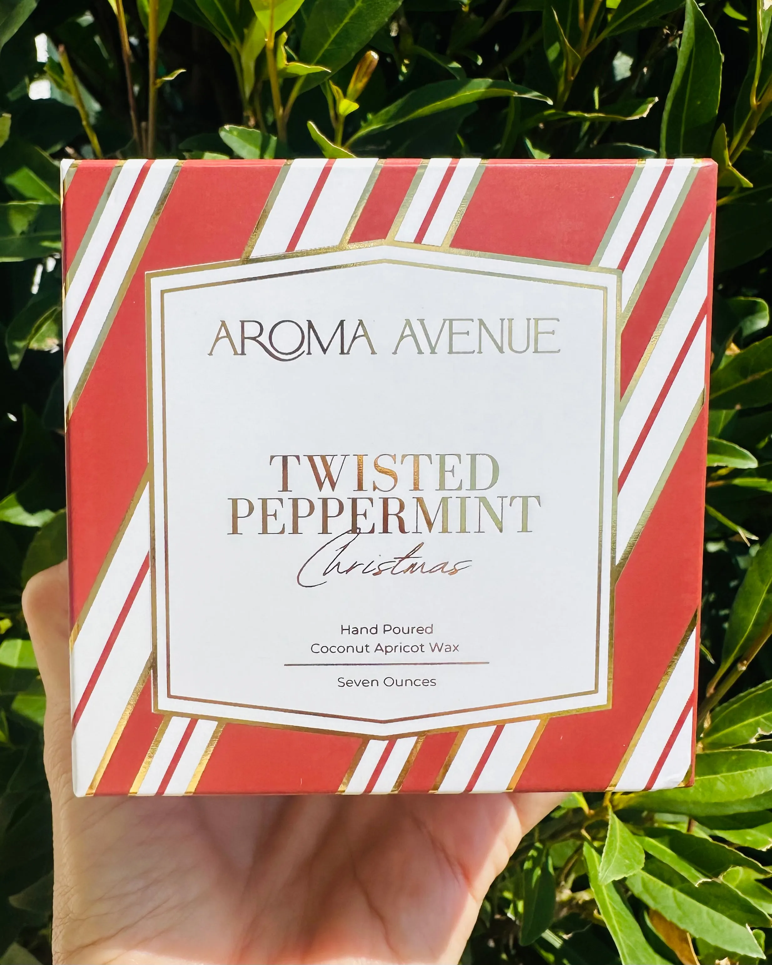 Aroma Avenue Candle- Twisted Peppermint