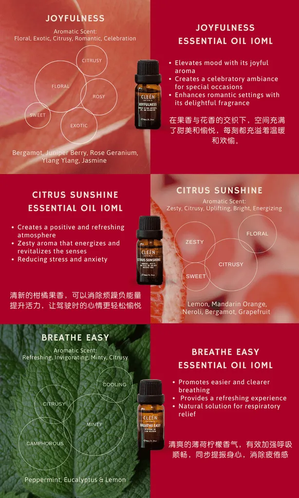 CLEEN Gift Set: Car Vent Diffuser with Essential Oil Bundle