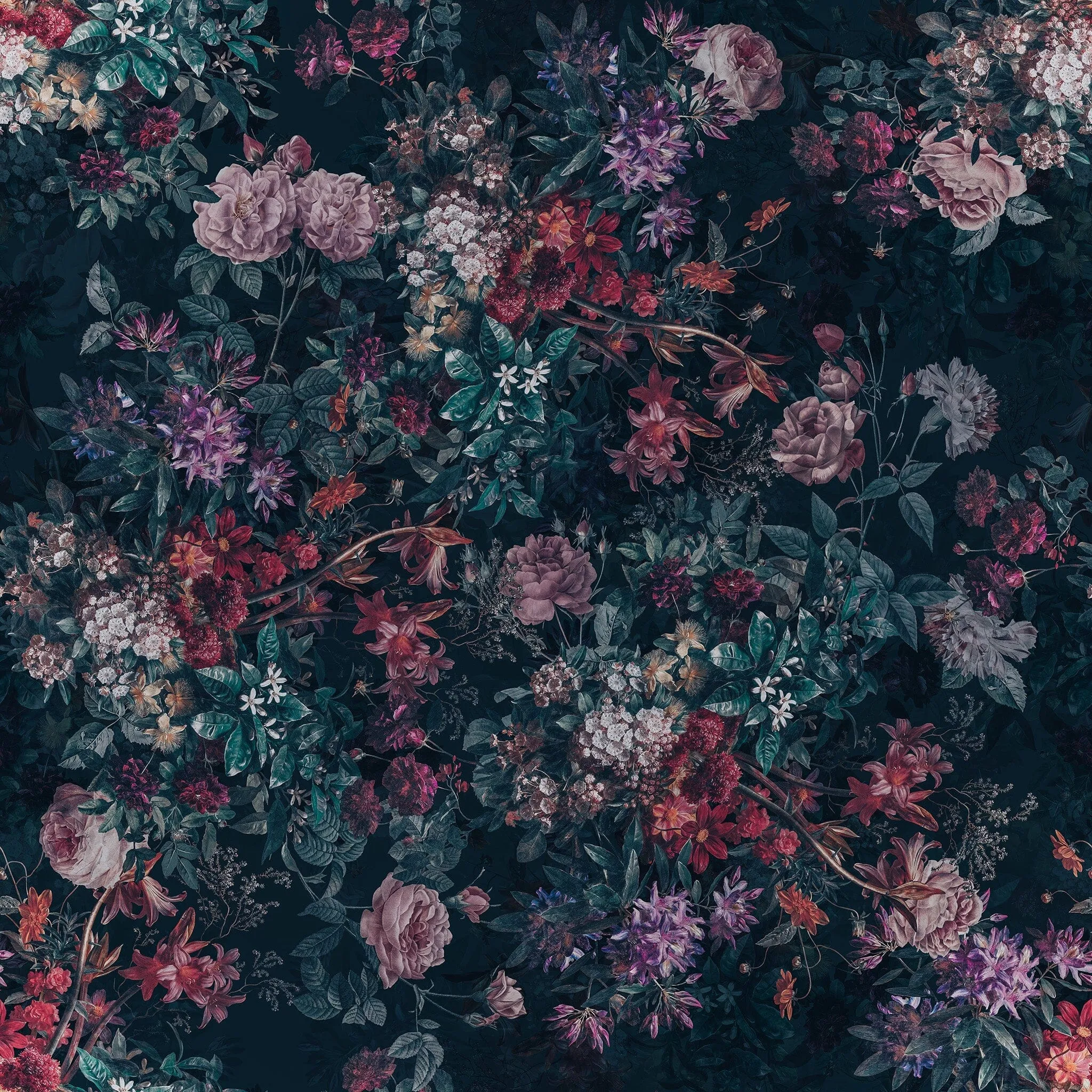 Dark Background Pink Flower Wallpaper - Moody Wallpaper