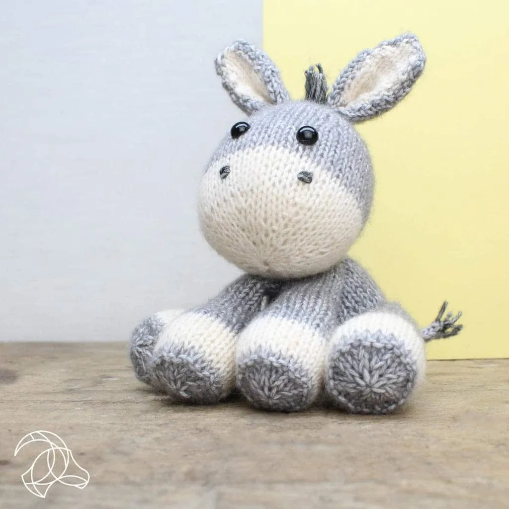Lente Donkey Knitting Kit